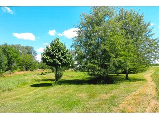 21.868+/- Acres. 
Per the owner, there are 290 walnut trees that are approximately 10 years old.
The Little Monon Creek runs through this property.

There is a cemetery on this property and they have ingress and egress access to the property. - Recreatonal & Investment & Possible Building Site